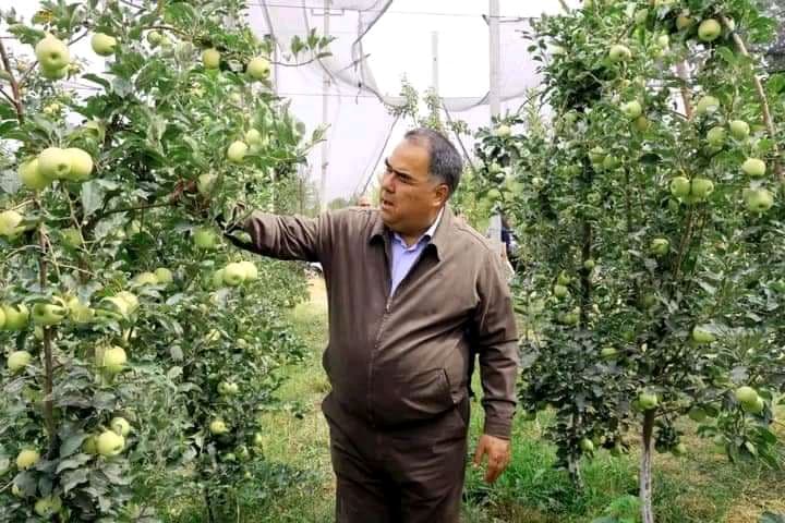 Сугд. Произведено сельскохозяйственной продукции на сумму 16 миллиардов 288 миллионов сомони