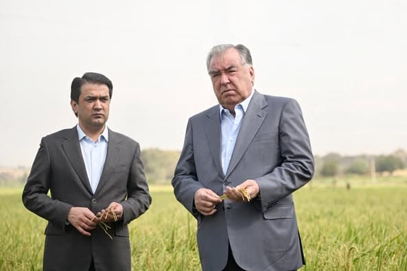 Working visit to the city of Tursunzoda