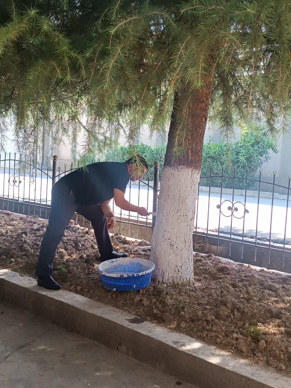 Improvement Works at the Fumigation Squad in Honor of the 35th Anniversary of State Independence