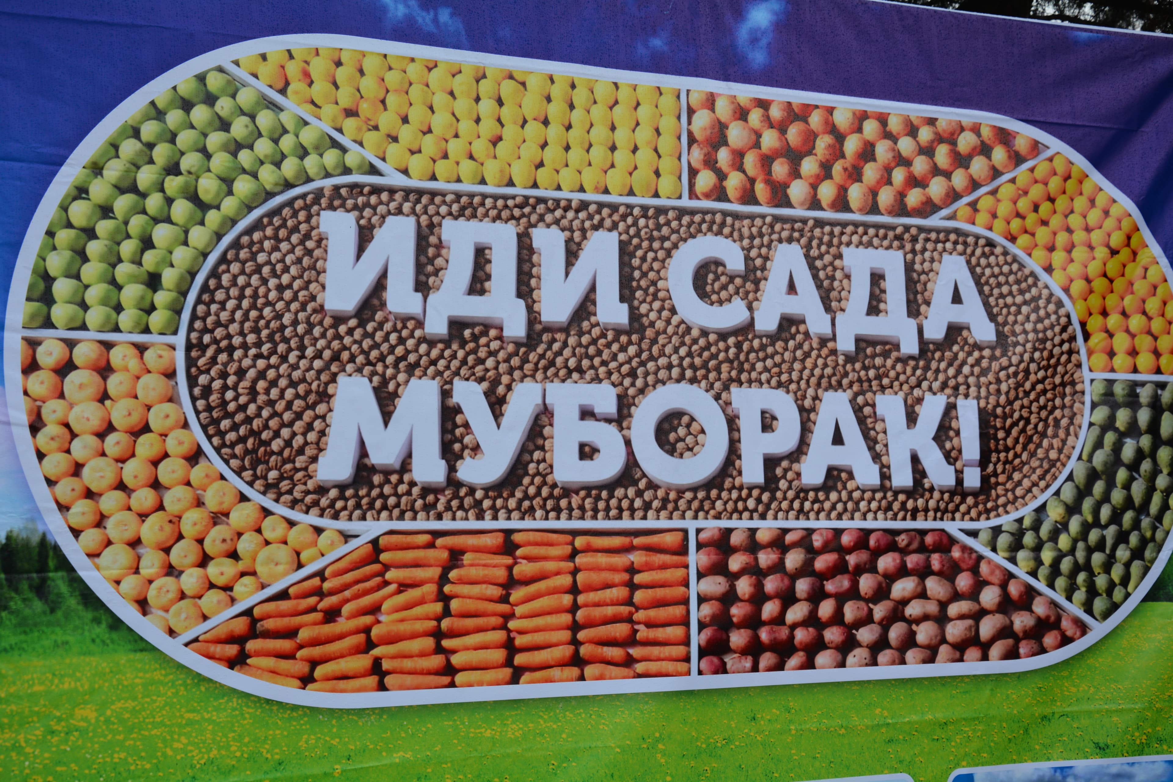 Таҷлили бошукӯҳи Ҷашни Сада
