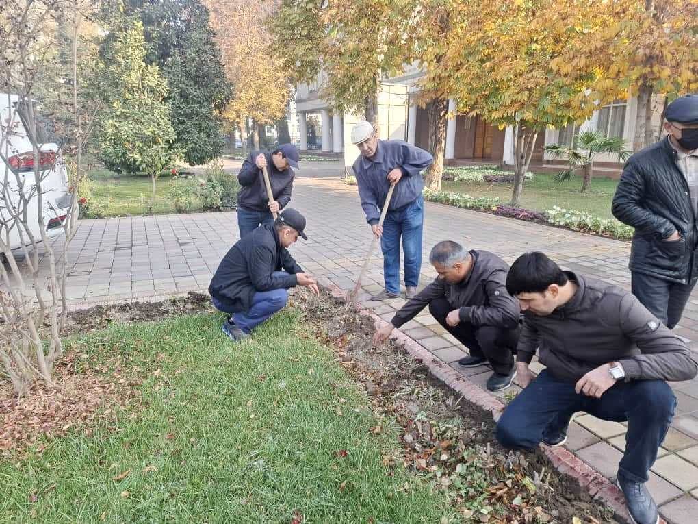 Суратгузориш