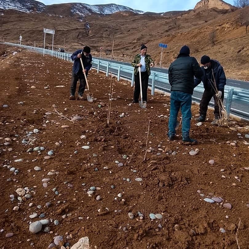 Planting work on the Obigarm–Nurabad highway