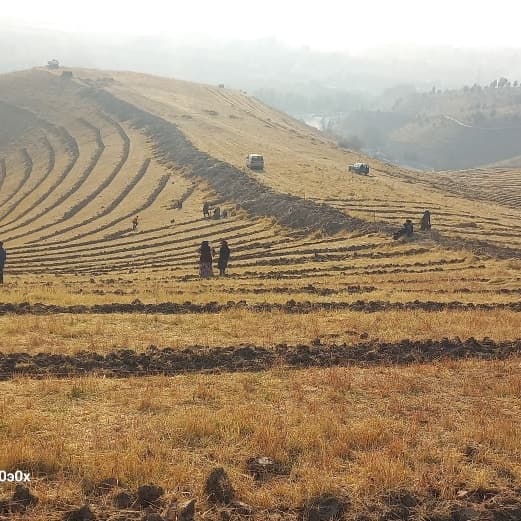 Planting seedlings on the hillsides along the Dushanbe–Vahdat highway