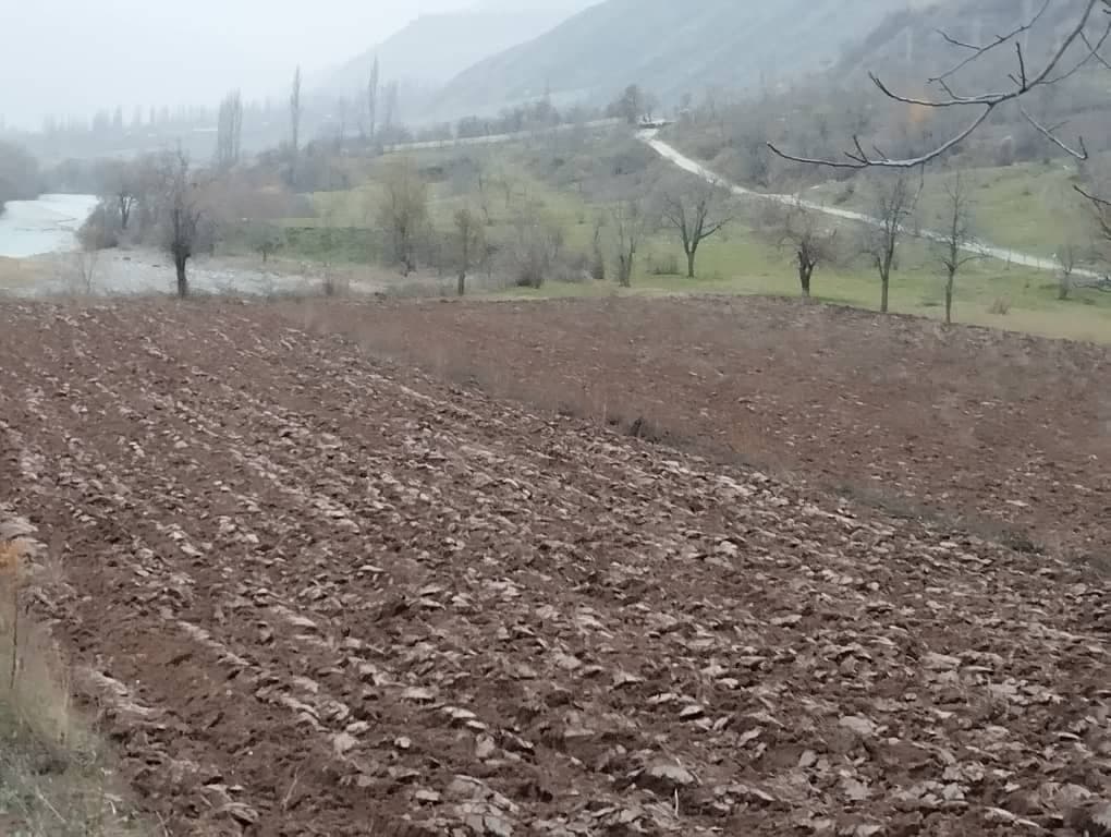 Создание малых питомников