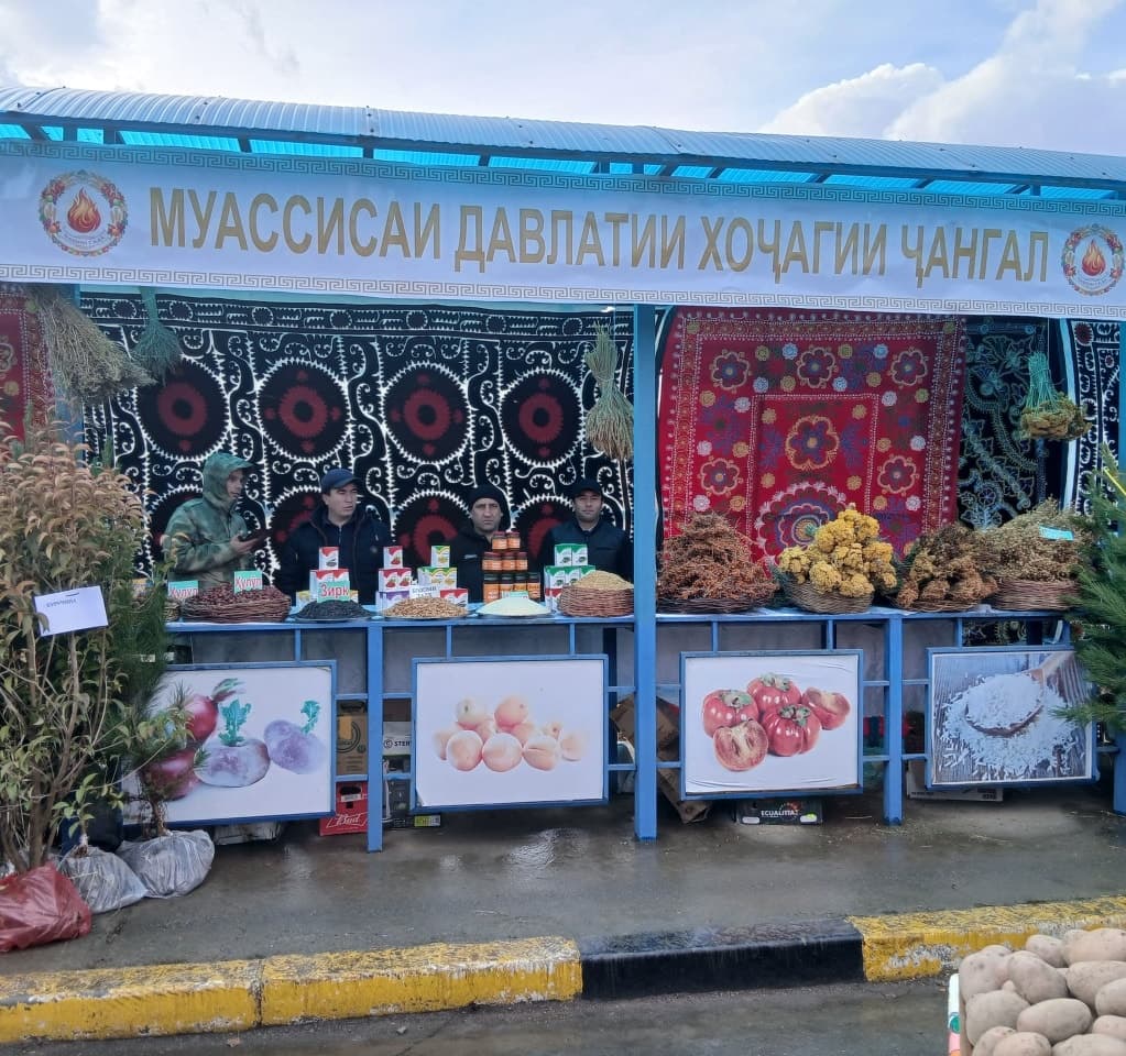 Participation of employees of organisations and institutions of the Forestry Agency system in cities and districts in the ancient festival of Sada