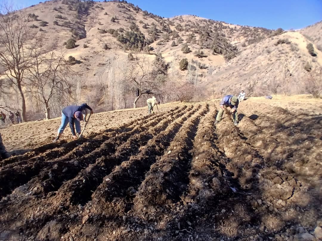 Establishing of small nurseries