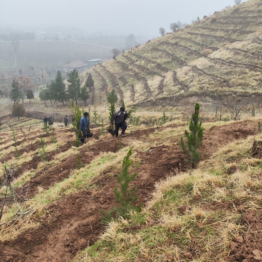 Inspection of Tree Planting Activities along the Dushanbe–Vahdat Highway