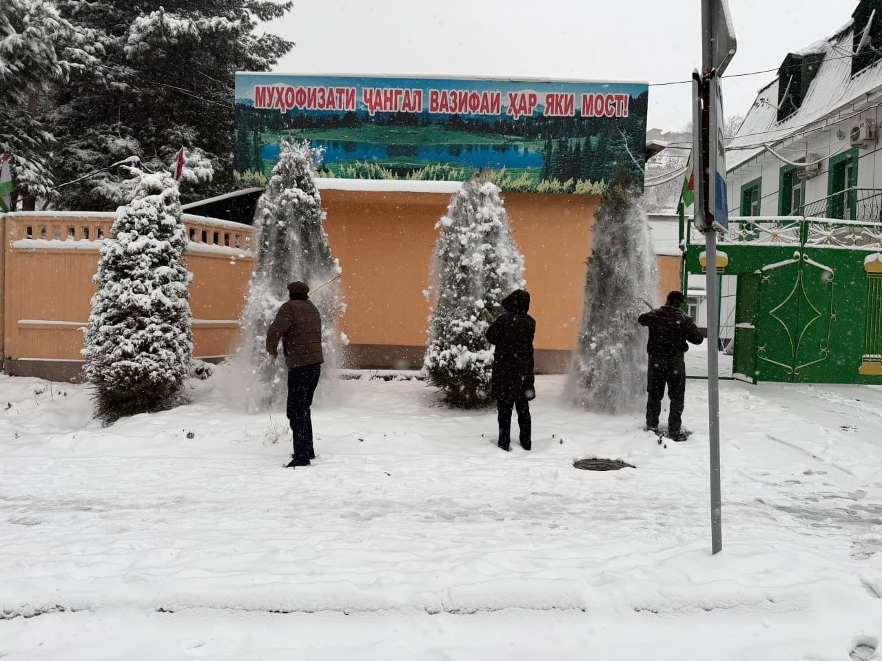 Очистка деревьев от снега