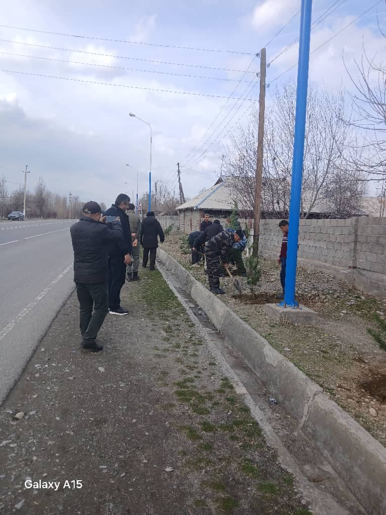 Государственное учреждение лесного хозяйства города Пенджикент: 500 вечнозелёных деревьев для зелёного будущего