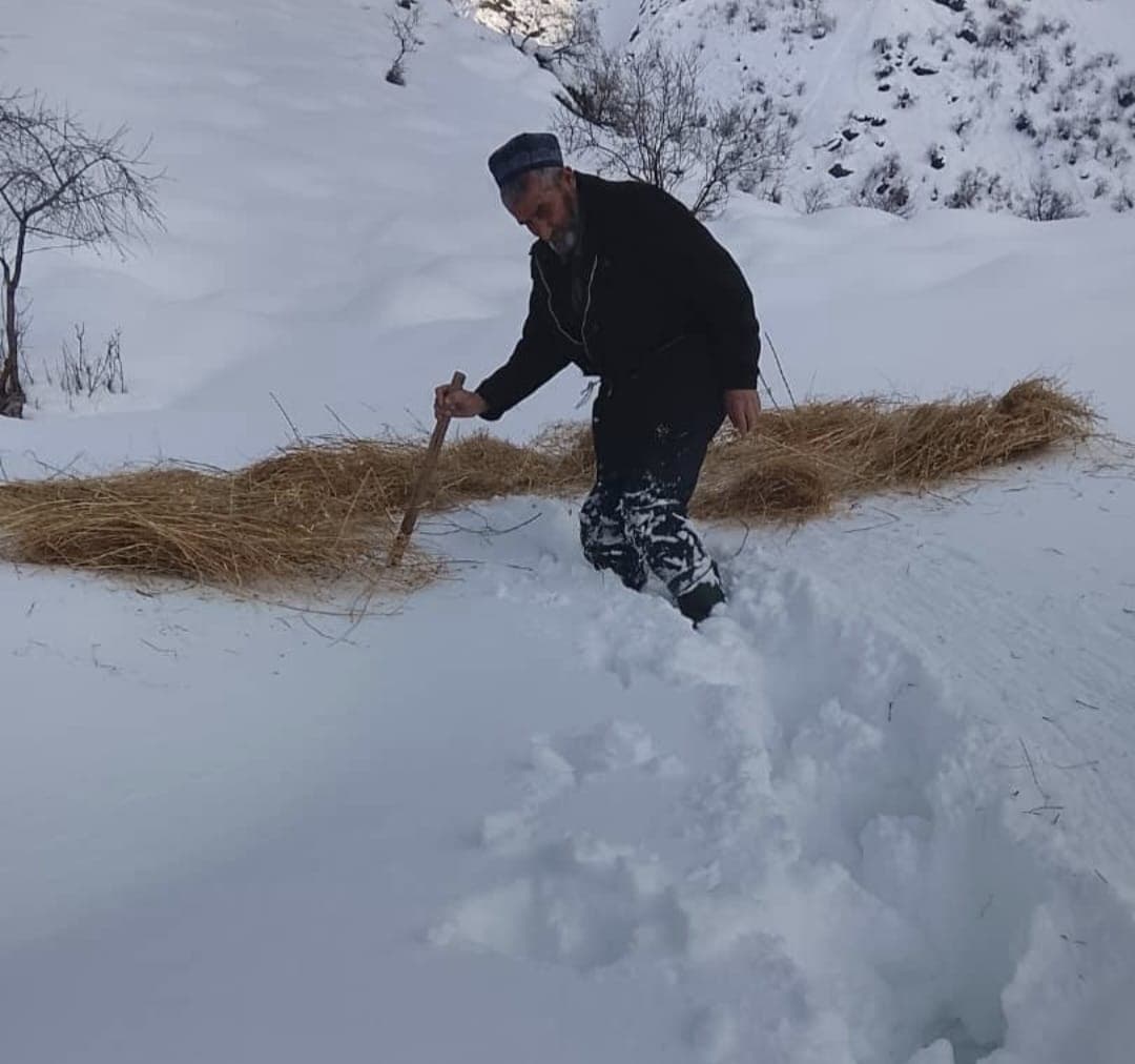 Preventing the death of wildlife and birds from winter cold