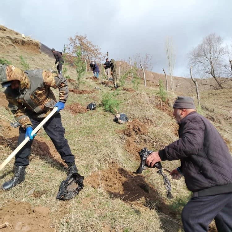 Tree Planting Campaign along the Dushanbe–Rasht Highway