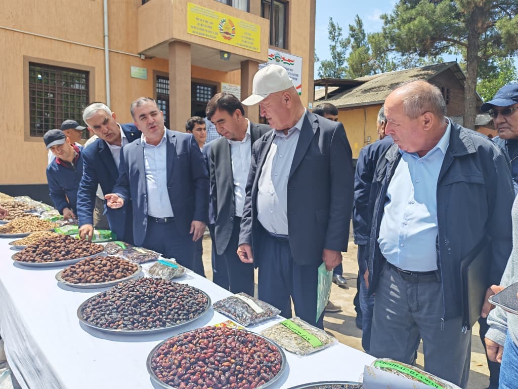 🇹🇯🌲PARTICIPATION OF THE AGENCY’S LEADERSHIP IN A REGIONAL SEMINAR-MEETING ON THE IMPLEMENTATION OF STATE PROGRAMS IN THE FORESTRY SECTOR