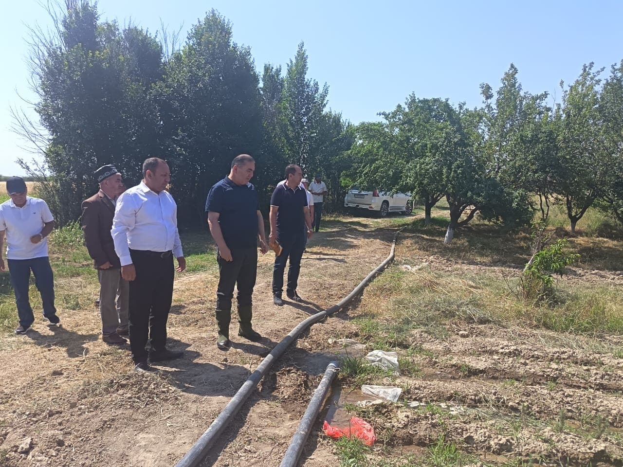 🇹🇯🌲 Визит директора Агентства лесного хозяйства при Правительстве Республики Таджикистан в Государственное учреждение лесного хозяйства города Истаравшан