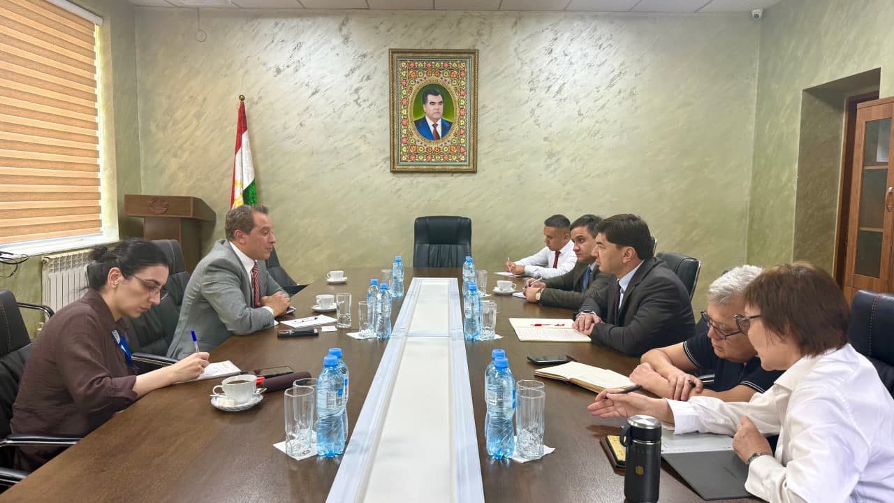 Meeting of the Deputy Director with the International Consultant