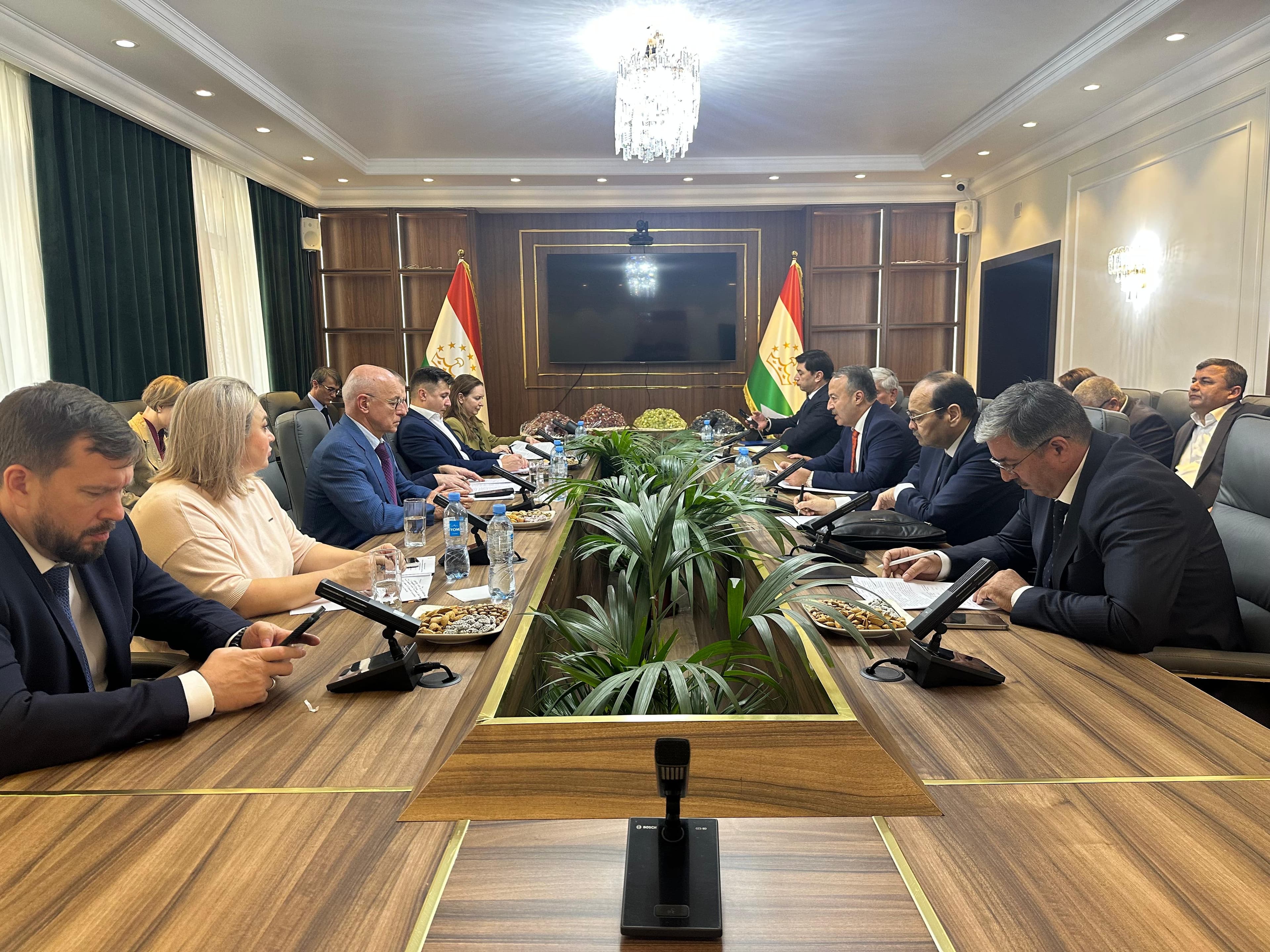 Meeting of the Director of the Export Agency under the Government of the Republic of Tajikistan with the Russian delegation