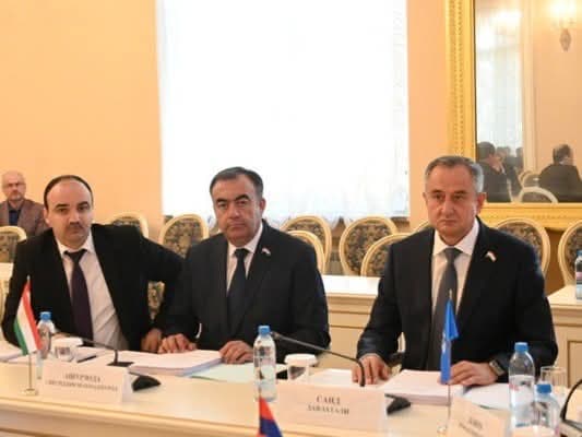Выступление Гиёсиддина Ашурзода на заседании постоянной комиссии Межпарламентской Ассамблеи государств-участников Содружества Независимых Государств и Парламентской Ассамблеи Организации Договора о коллективной безопасности
