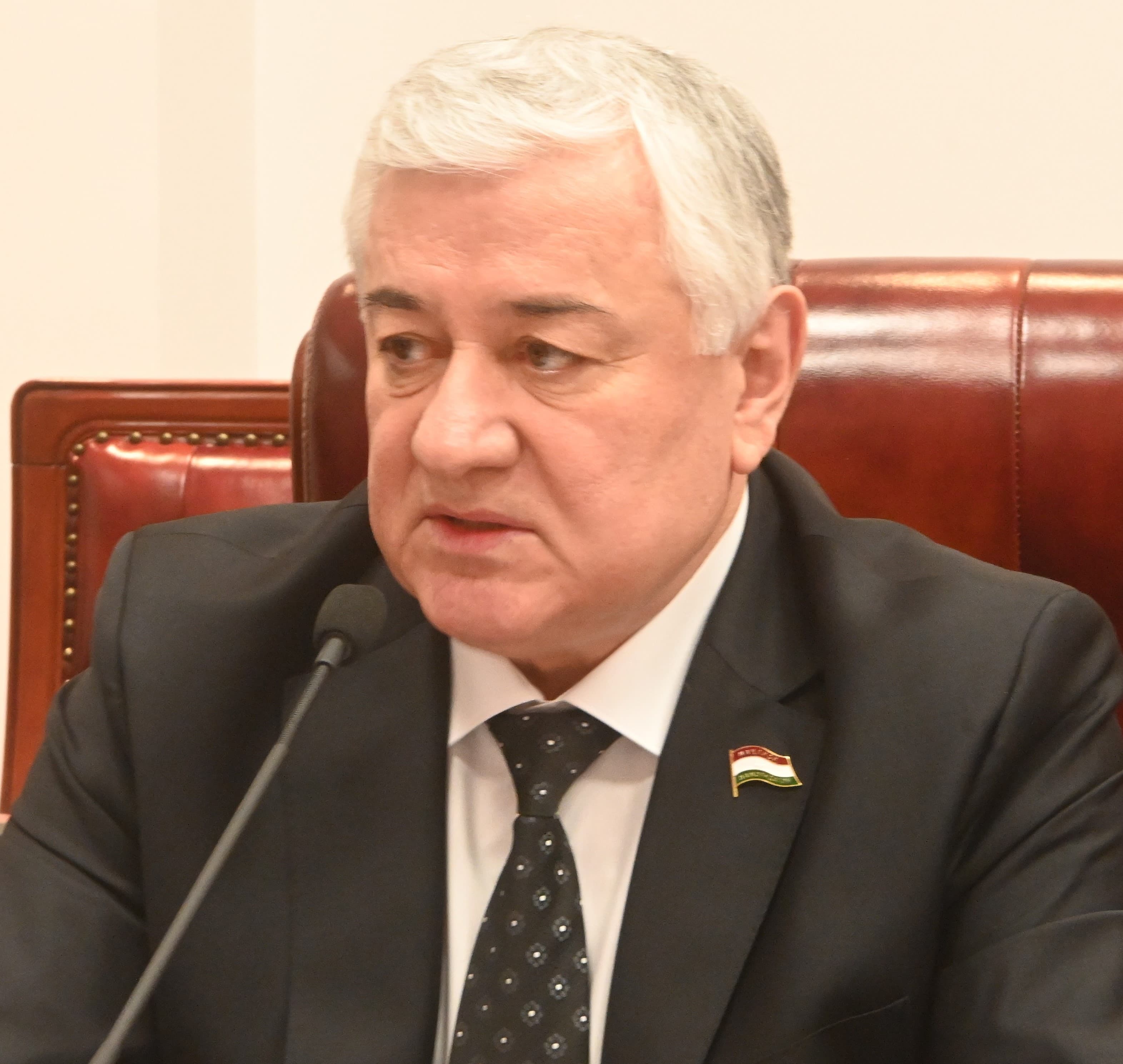 Meeting of the First Deputy Chairman of the Majlisi Namoyandagon of the Majlisi Oli of the Republic of Tajikistan with the delegation of the People's Republic of China