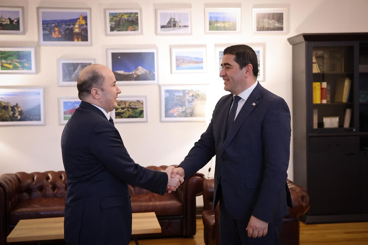 Meeting of the Ambassador with the Chairman of the Parliament of Georgia