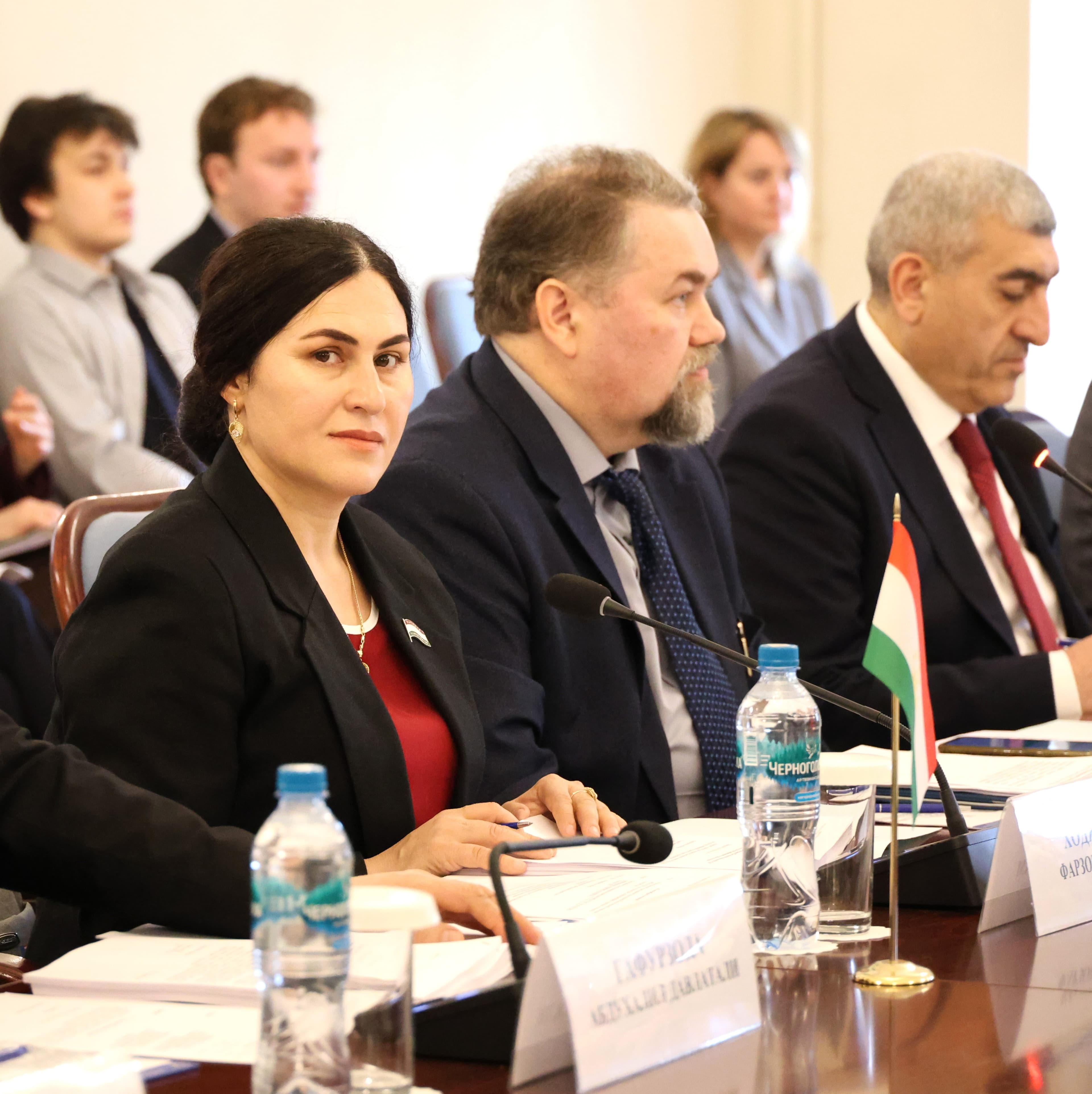 Participation of Farzona Khojazoda in the Meeting of the CIS IPA Standing Commission on Culture, Information, Tourism, and Sport