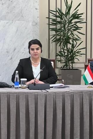 The Role of the Majlisi Oli of the Republic of Tajikistan in the Development of the Digital Economy