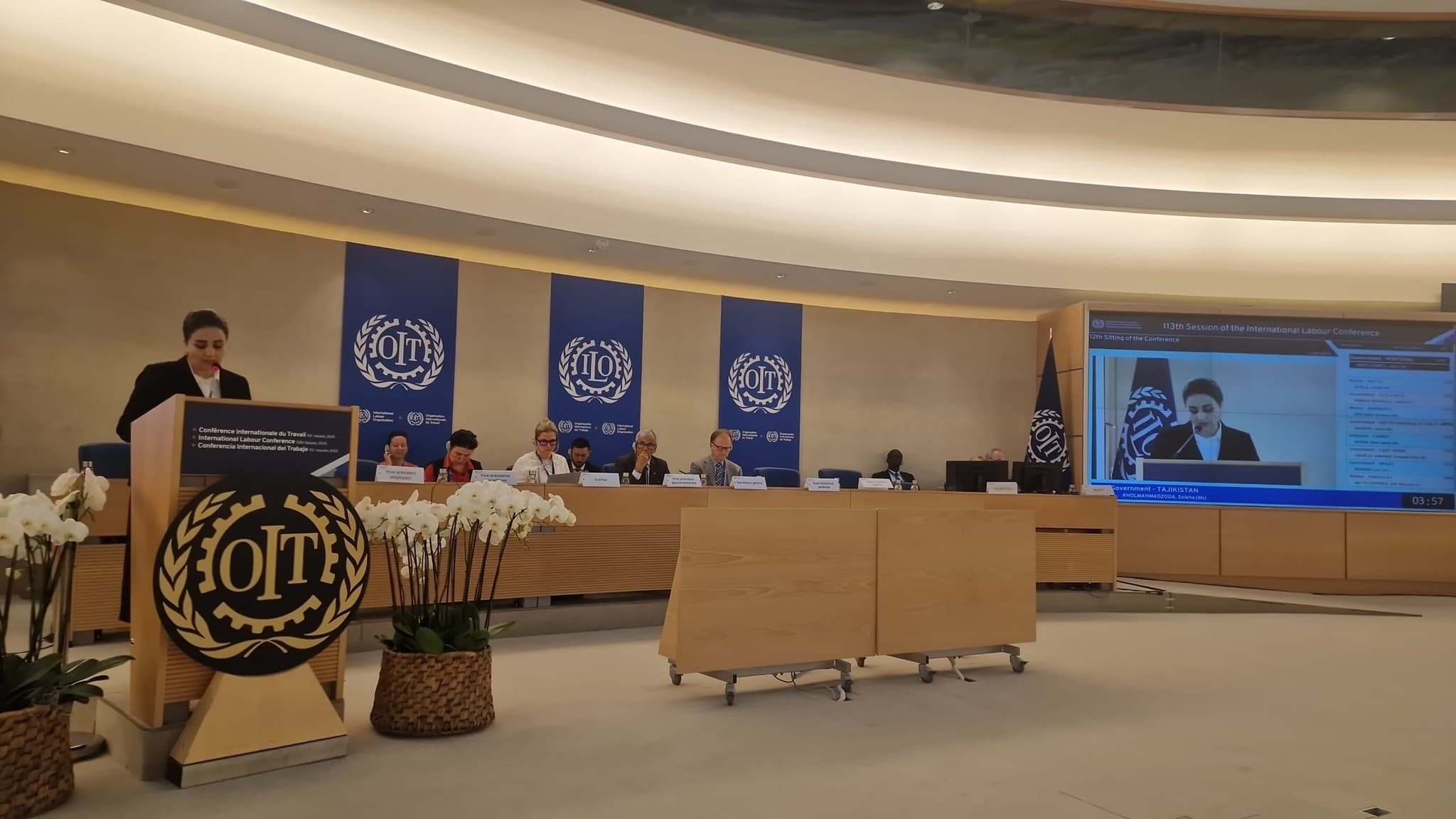 Participation and speech at the 113th session of the International Labour Conference