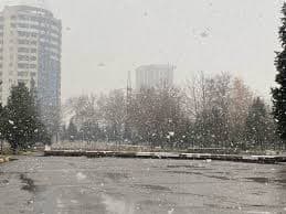 КҲФ: Огоҳӣ дар бораи хавфи тарма
