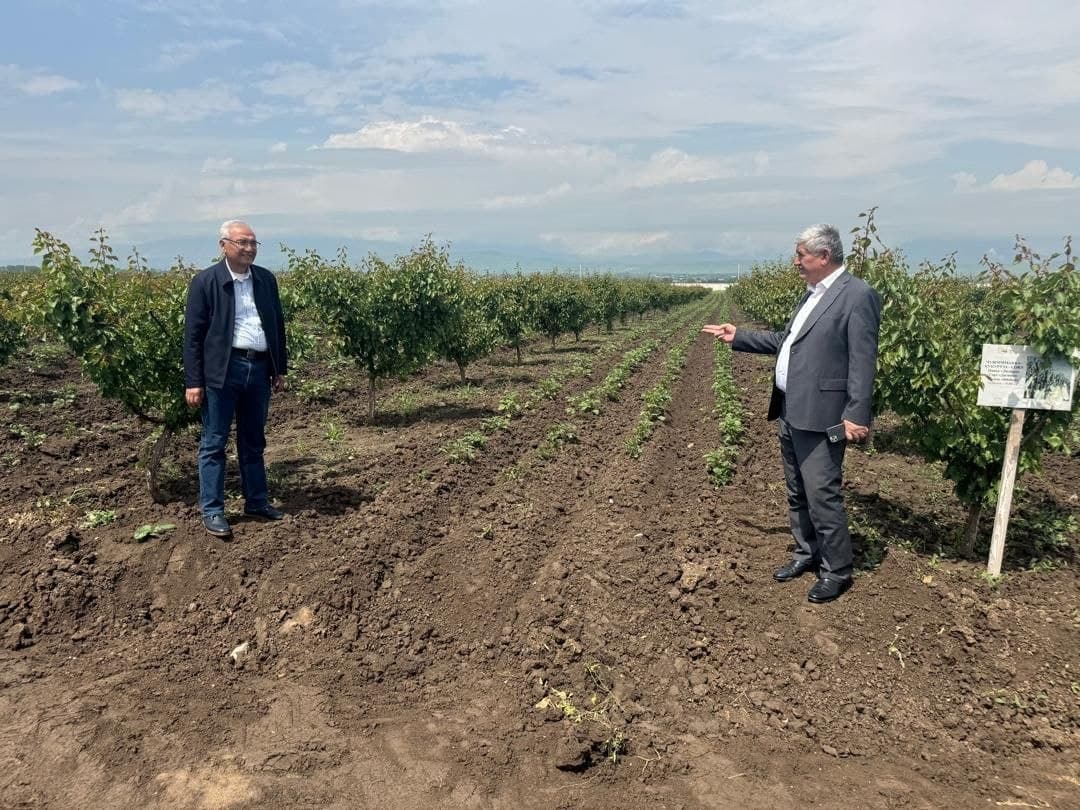 Strengthening Scientific and Practical Cooperation Between Tajikistan and Uzbekistan: Demonstration Cotton Fields to be Established in the City of Hisor