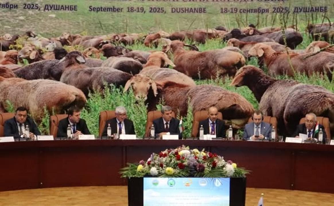 International Scientific and Practical Symposium and Festival-Exhibition “Hisor Breed Sheep”