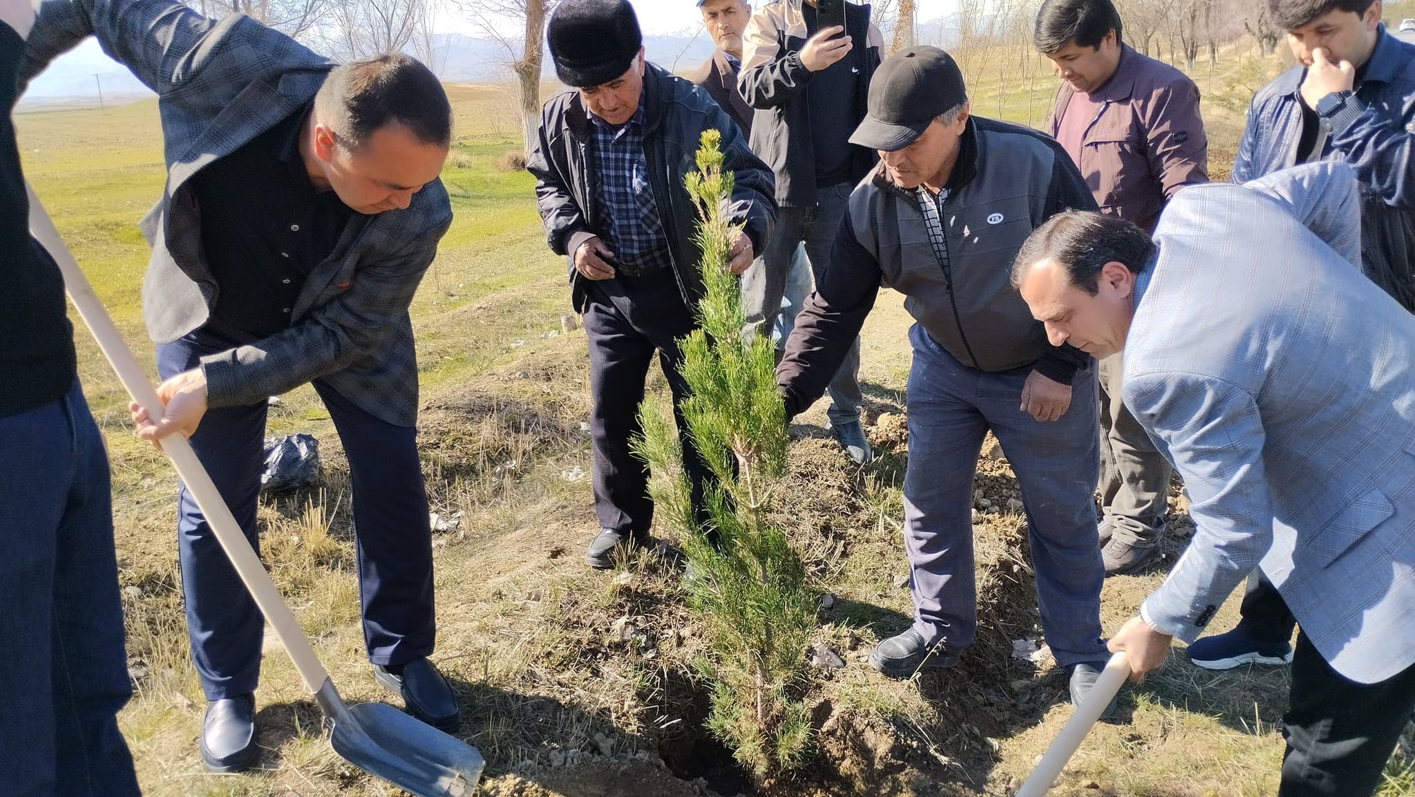 Continuation of the Tree Planting Campaign in Shahriston District