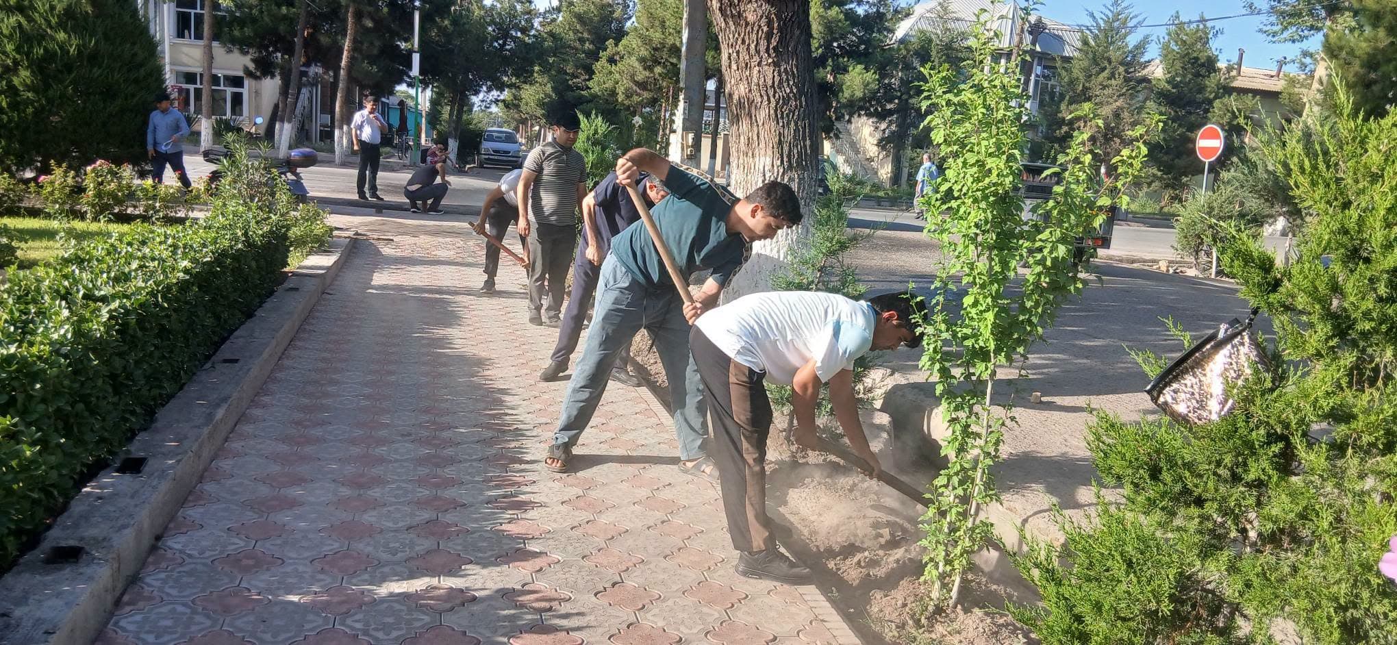 АБДУРАҲМОНИ ҶОМӢ: ШАНБЕГИИ УМУМИНОҲИЯВӢ — САҲМГУЗОРӢ ДАР ОБОДИИ ВАТАН