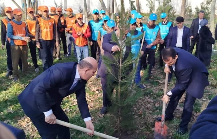 АБДУРАҲМОНИ ҶОМӢ: Баргузории аксияи ниҳолшинонӣ