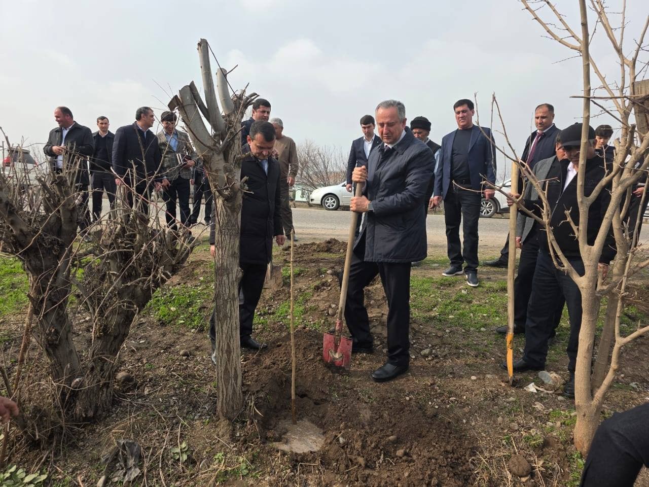АБДУРАҲМОНИ ҶОМӢ: БАРГУЗОРИИ МАЪРАКАИ НИҲОЛШИНОНӢ