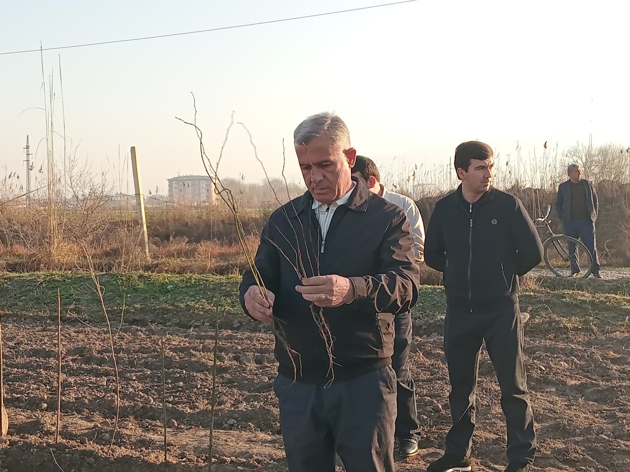 АБДУРАҲМОНИ ҶОМӢ: ҲАШАРҲОИ ОММАВИИ ОБОДОНӢ ВА НИҲОЛШИНОНӢ