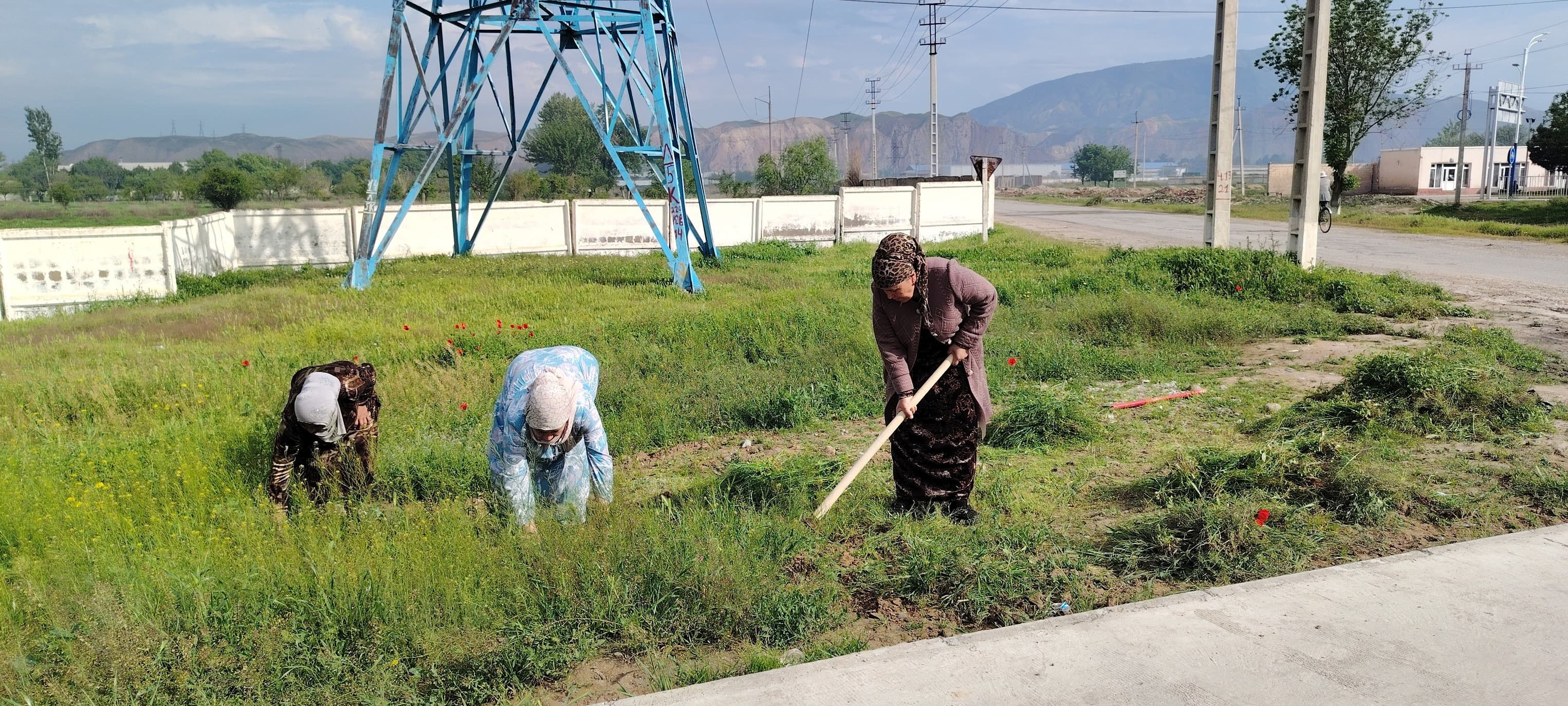 ШАНБЕГИИ УМУМИШАҲРӢ  ДАР  ЛЕВАКАНТ