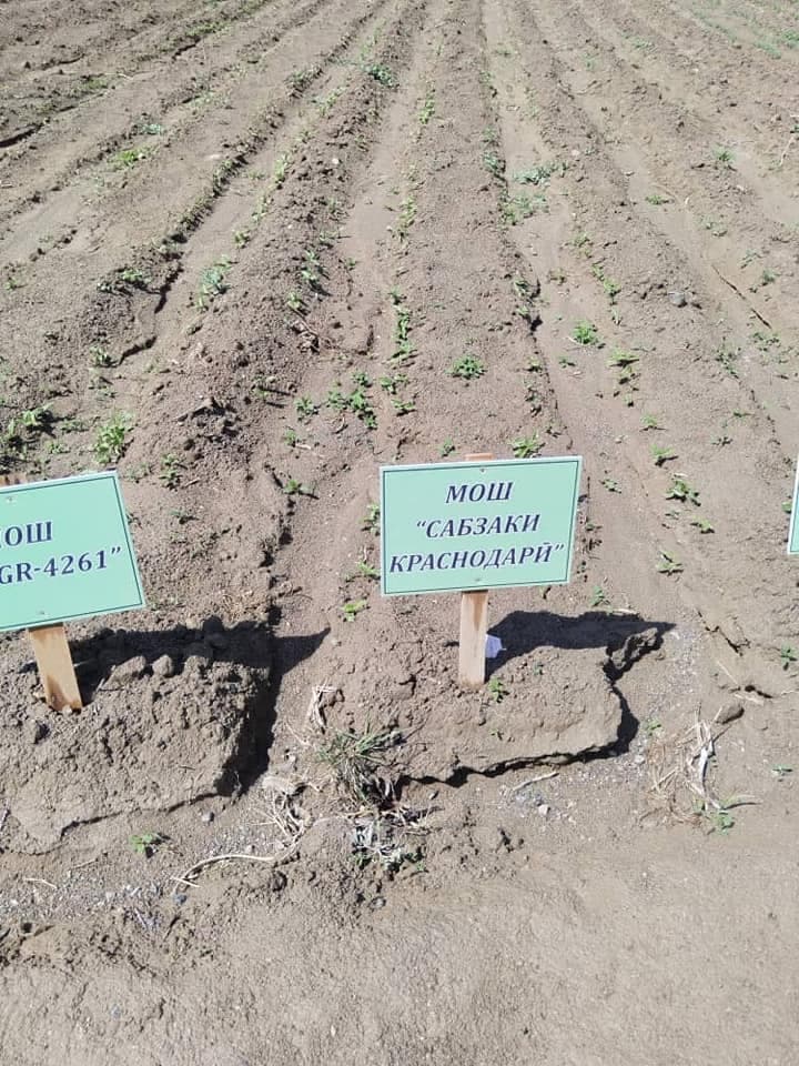 Суратгузориш дар макони тадқиқотии ноҳияи Ишкошим.