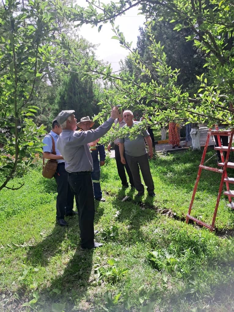 Мубориза бар зидди ҳашаротҳои зараррасон