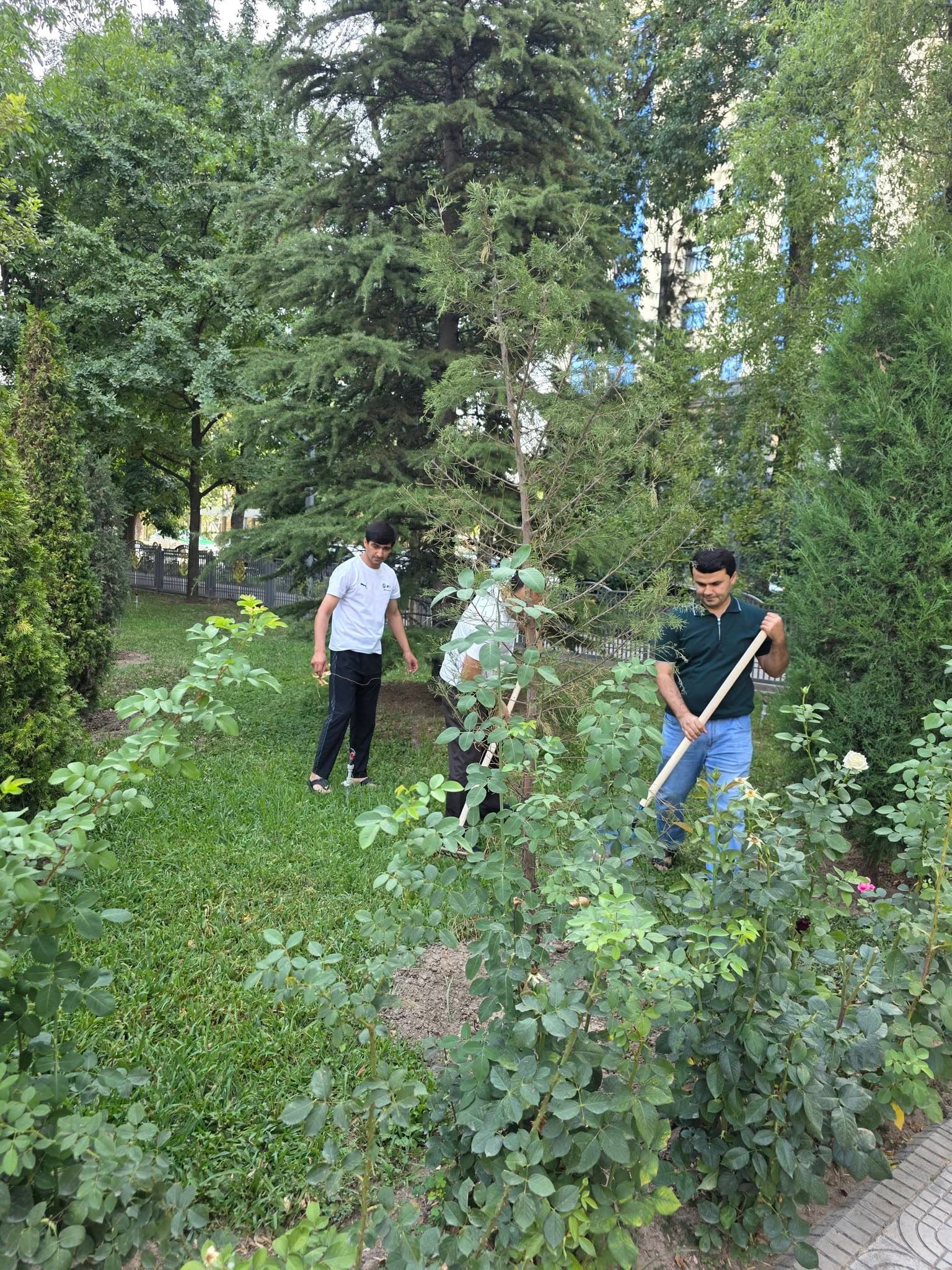 Саҳми ман дар шаҳри ман