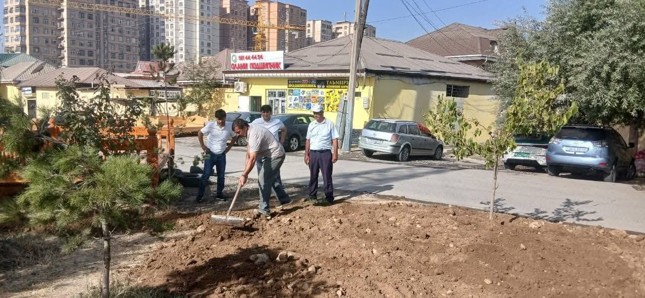 Шанбеи назофаткорӣ дар гирду атрофи ноҳияи Фирдавсӣ