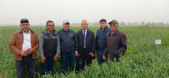 Иштироки мутахассисони Институт дар Семинархо