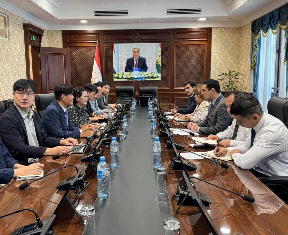 Meeting of the Deputy minister of economic development and trade with the delegation of the Republic of Korea Consortium (KOTI)