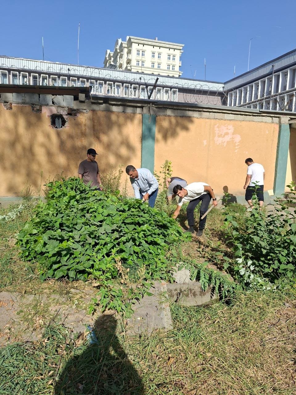 ҲАШАРИ ДАСТАҶАМЪОНА БА ИСТИҚБОЛИ ҶАШНИ 35-СОЛАГИИ ИСТИҚЛОЛИ ДАВЛАТӢ