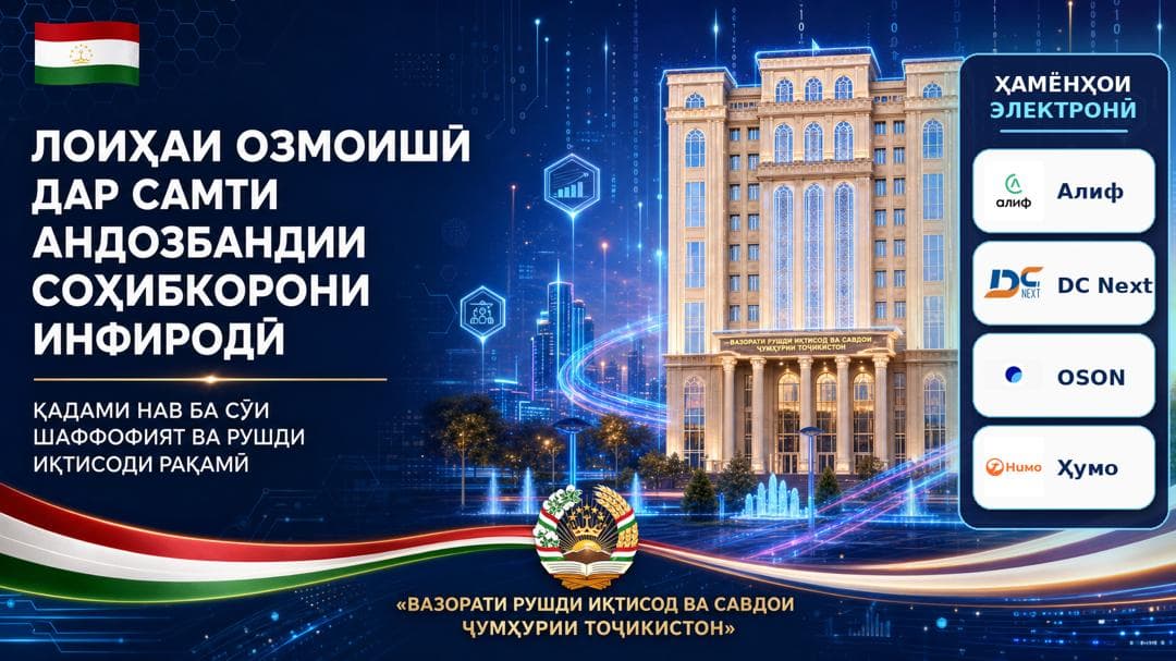 PILOT PROJECT ON THE TAXATION OF INDIVIDUAL ENTREPRENEURS — A NEW STEP TOWARDS TRANSPARENCY AND THE DEVELOPMENT OF THE DIGITAL ECONOMY
