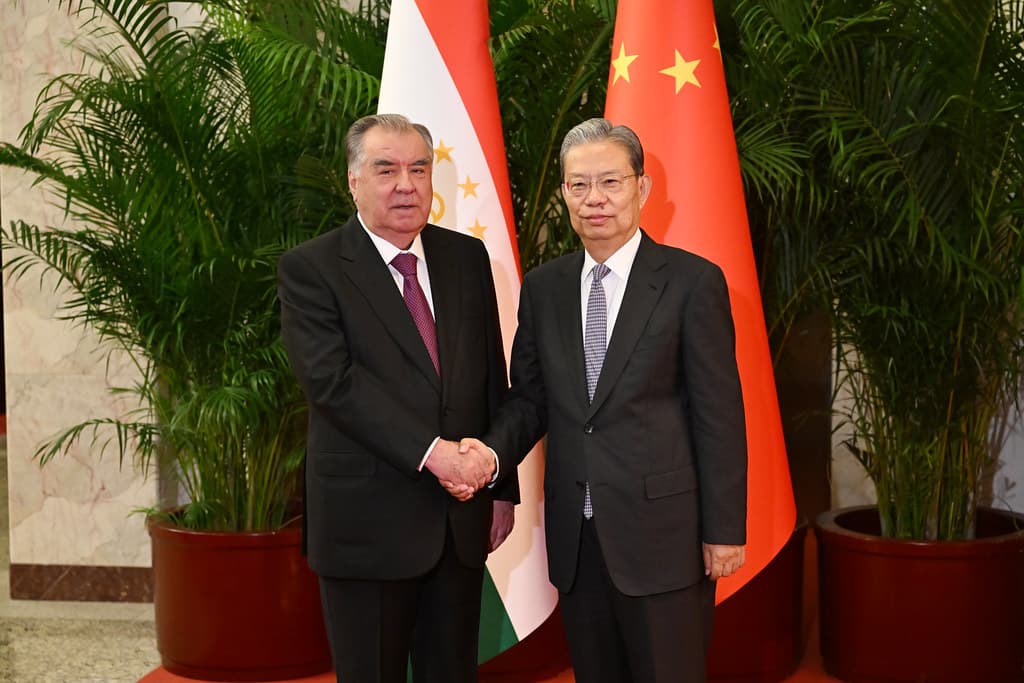 Meeting with Zhao Leji, Chairman of the Standing Committee of the National People's Congress