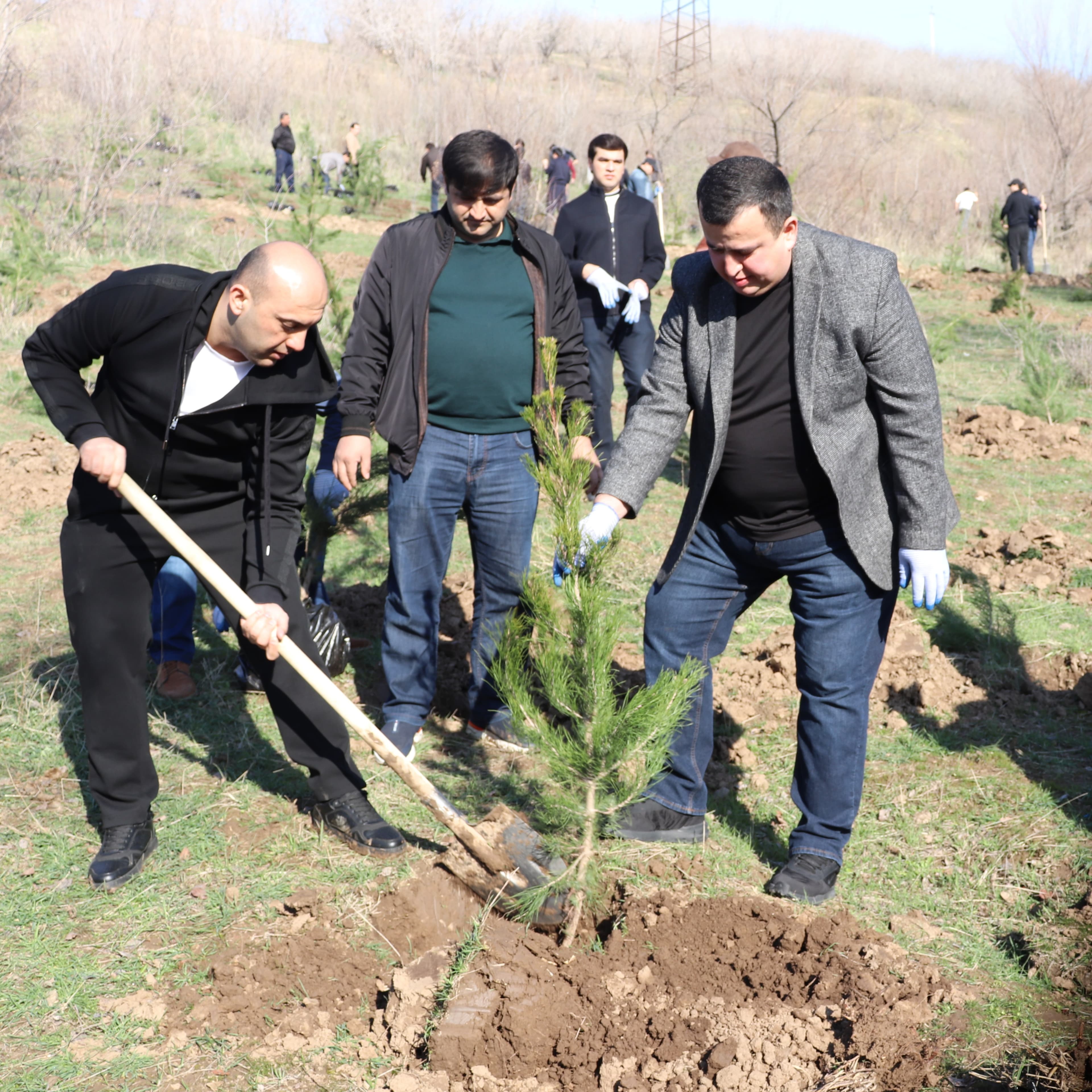 The tree planting campaign continued with the participation of the leadership and staff of the Ministry of Economic Development and Trade and its subordinate agencies