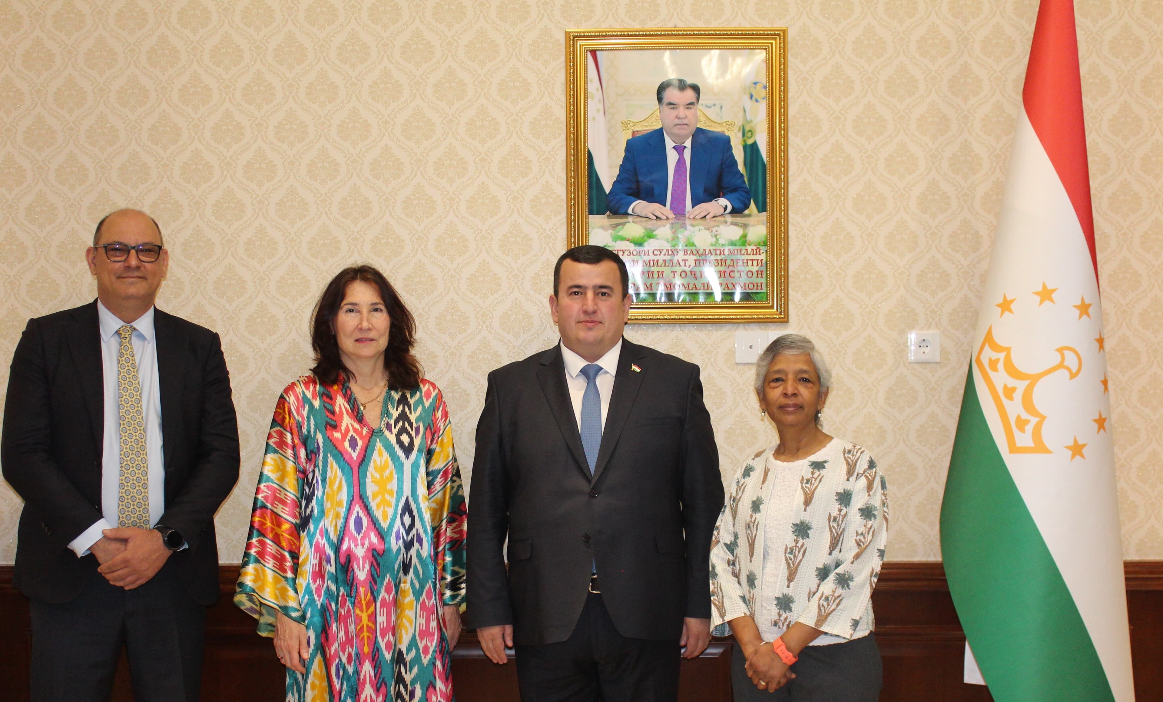 Meeting of the Minister of Economic Development and Trade of the Republic of Tajikistan with the Co-Chairs of the Development Coordination Council