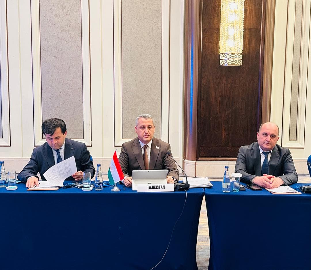 Participation of the Delegation of the Republic of Tajikistan in the Negotiations on the Trade and Investment Facilitation Partnership Agreement (CARTIF) and the 25th Meeting of the Customs Cooperation Committee