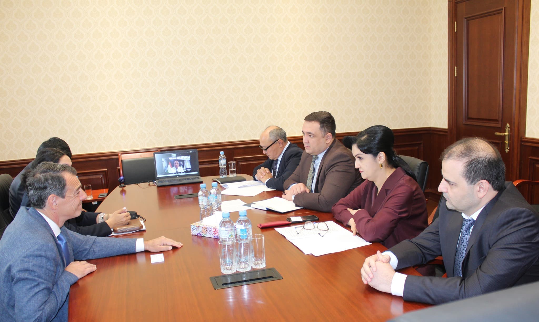 Meeting of the Deputy Minister of Economic Development and Trade of the Republic of Tajikistan with the Director of KfW Development Bank for Central Asia