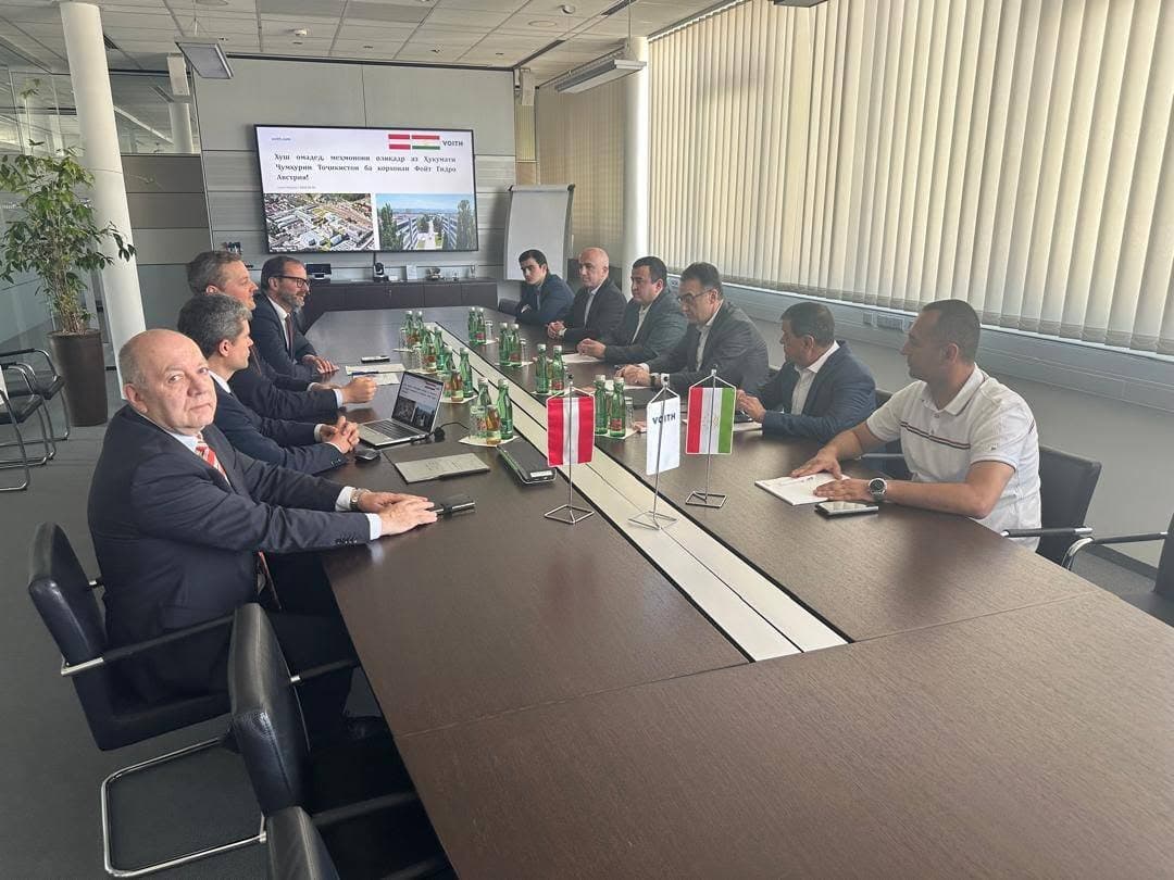 Meeting of the National Delegation with the Chief Executive Officer of Voith Hydro Austria