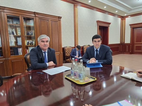 Discussion on cooperation with the Economic Cooperation Organization (ECO)
