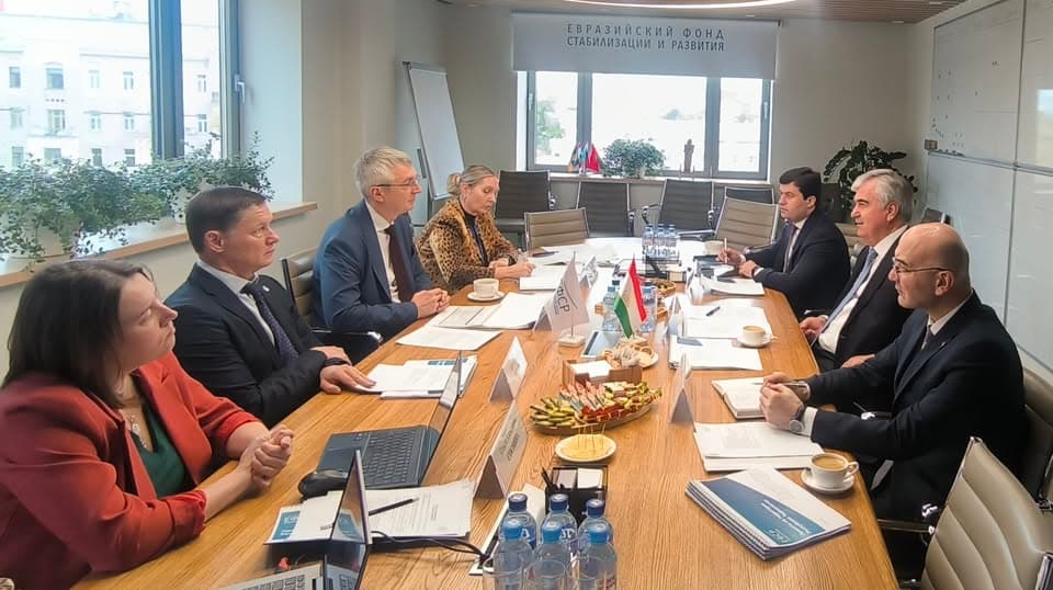 Discussion of cooperation with the Eurasian Fund for Stabilization and Development.